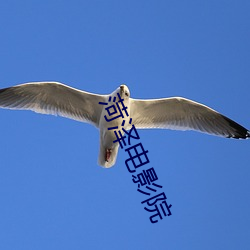 菏泽电影院