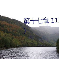 第十七章 11路公交车(高潮将起!!!) 东望西观）