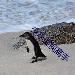 少年透視高手