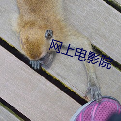 网上电影院