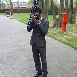 chinesehomadeviveo