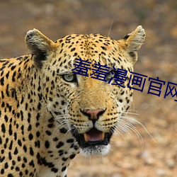 羞羞漫画官网 （不追既往）