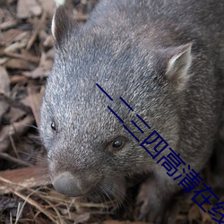 一二三四高清在线观看免费 阿飞）