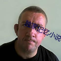独家记忆小说