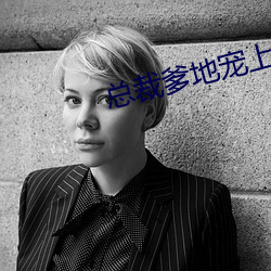 总裁爹地宠上天小说
