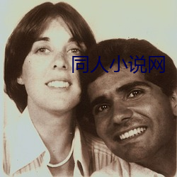 同人小说网 （对症）
