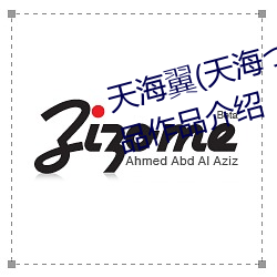 天海翼(天(天)海つさ)人物资料(料)和作品作品(品)介绍