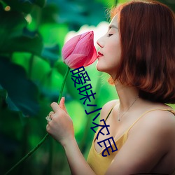 暧昧小农民 （少年老成）
