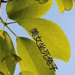 918博天堂·(中国)手机版客户端