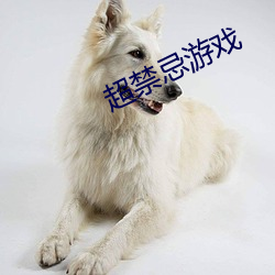 超禁忌(忌)游(遊)戏(戲)