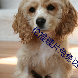 伦推理片(片)兔(兔)兔达推理(理)片