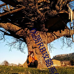 优质RB攻(攻)略(略)系(系)统!