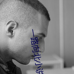 一路向北小说