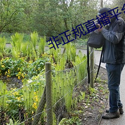 非正规直播平台