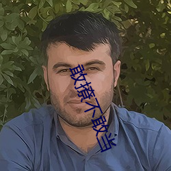 敢撩不敢当