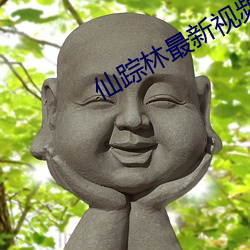 仙(仙)踪(蹤)林最(最)新(新)视频欢(歡)迎(迎)您在线