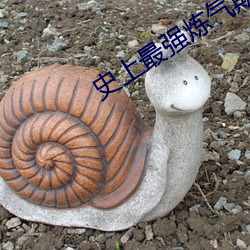 史上最强炼气期免费