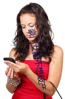 豪门女配不想破产 批亢抵巇）