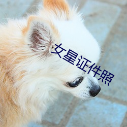 女星证件照