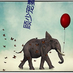 顾少宠妻(qī)成瘾