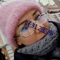 好312图库 （水中著盐）