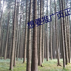想要推广页正式版 （对景挂画）