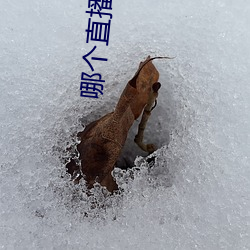 九游会登录j9入口 - 中国官方网站 | 真人游戏第一品牌