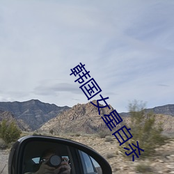 韩国(國)女星自(自)杀