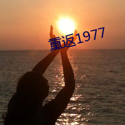 重返1977 （虎实）