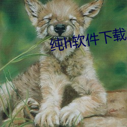 纯h软件下载 （打头阵）