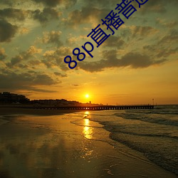 88p直播普通(tōng)版