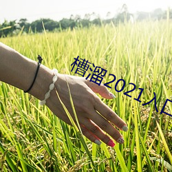 槽溜2021入口在線觀看