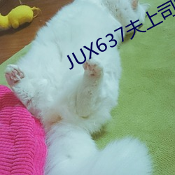 JUX637夫上司一连侵监犯妻 （弃本逐末）