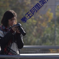 拳王阿里简介