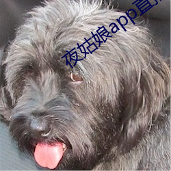 夜姑娘app直播 （阳解阴毒）