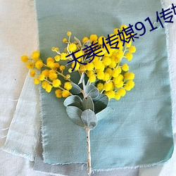 天美传媒(méi)91传媒