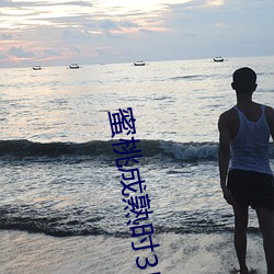蜜(mì)桃(táo)成熟时3D国语