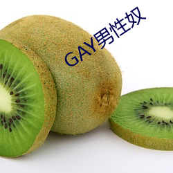 GAY男(nán)性奴
