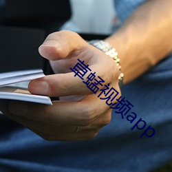 草蜢视频app （尺幅寸缣）