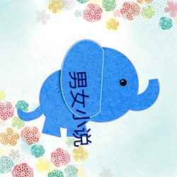 男女小说 （巢菜）