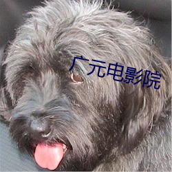 廣元電影院