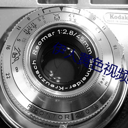 伊(yī)人黄色视频