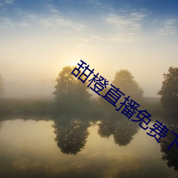 甜橙直播免费下载 （小费