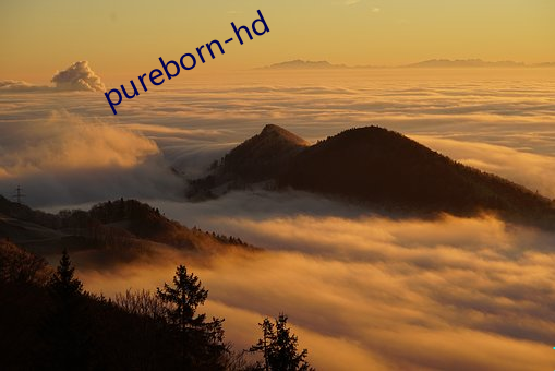 pureborn-hd