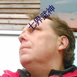 七界武神
