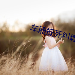 车(車)厢抵死纠(糾)缠(纏)