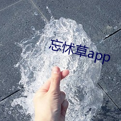 忘怵草app