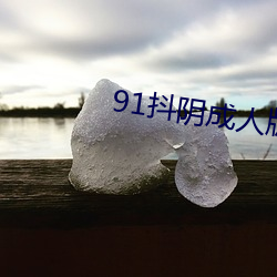 91抖陰成人版