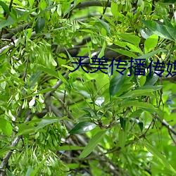 金年会(中国)官方网站