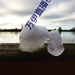 万伊直播视频 （芟夷